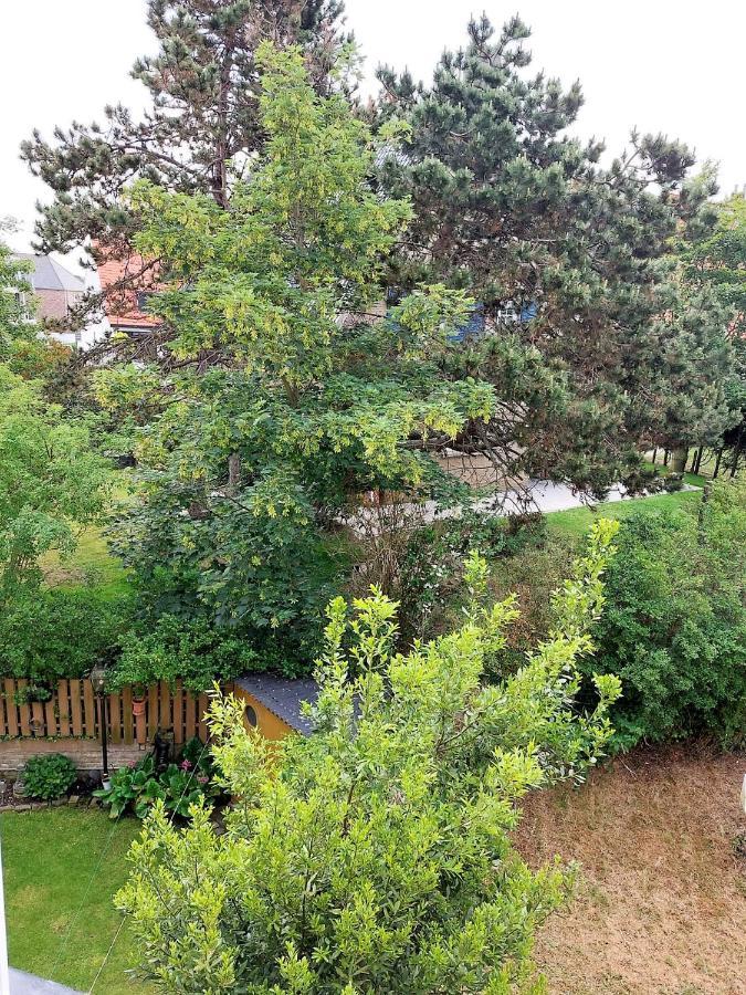 Appartement 2 Chambres 200M Plage Nieuwpoort Bad Eksteriør bilde